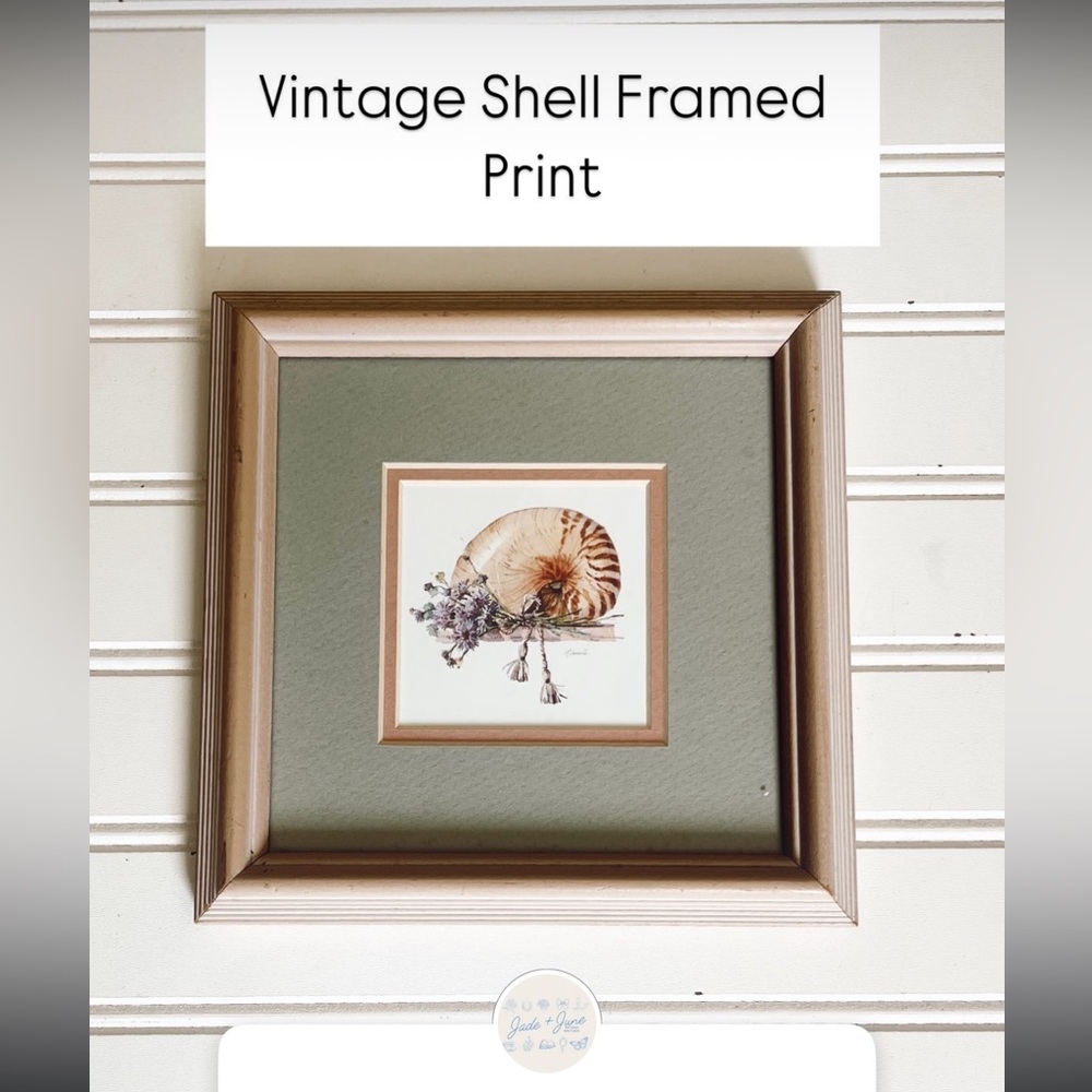 Framed Nautilus Shell Art